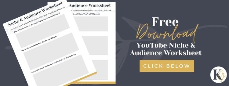 YouTube Niche and Audience Worksheet Free Download